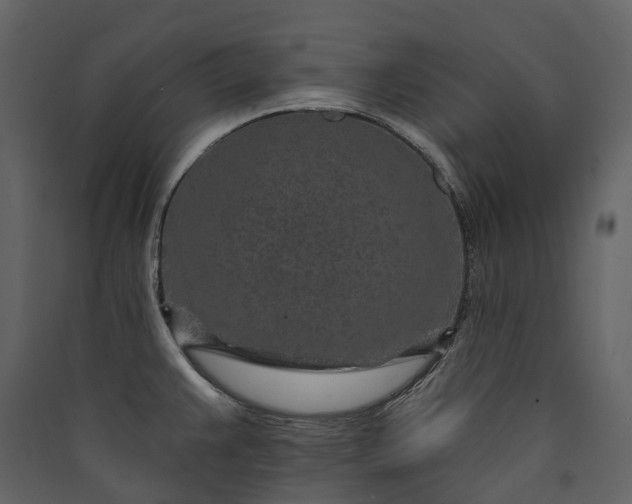 X0000089941383200707131444