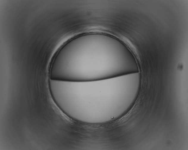 X0000089941384200707131444