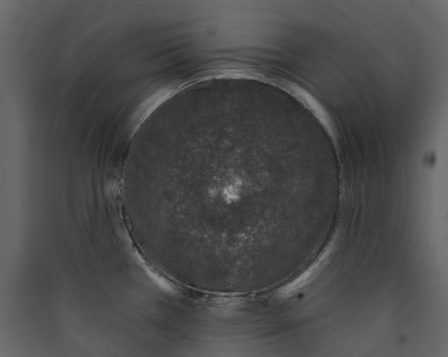 X0000089941385200707131444