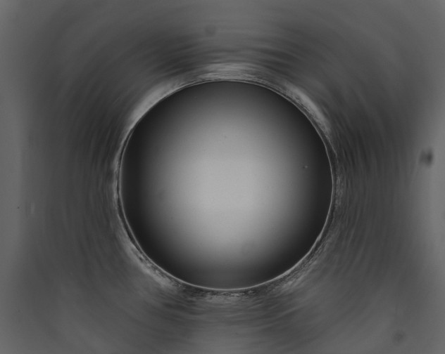 X0000089941386200707131444