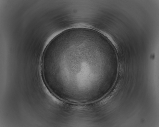 X0000089941387200707131444