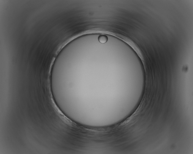 X0000089941388200707131444