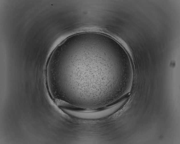 X0000089941389200707131444