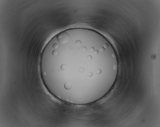 X0000089941390200707131444