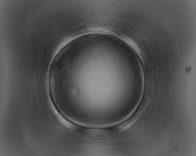 X0000089941391200707131444