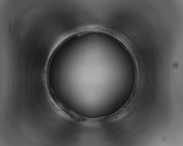 X0000089941392200707131444