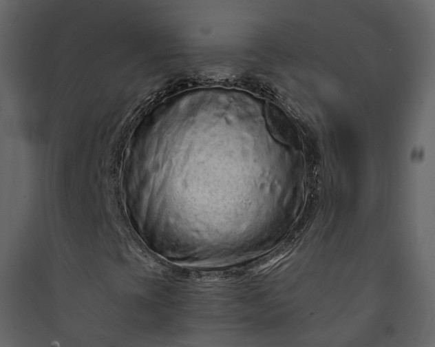 X0000089941393200707131443