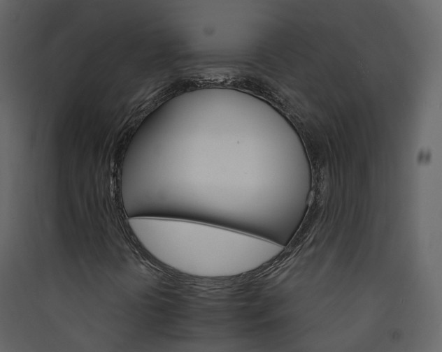 X0000089941394200707131443