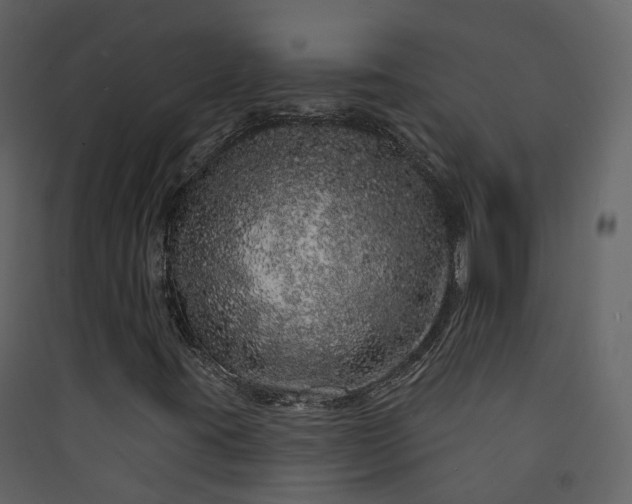 X0000089941395200707131443