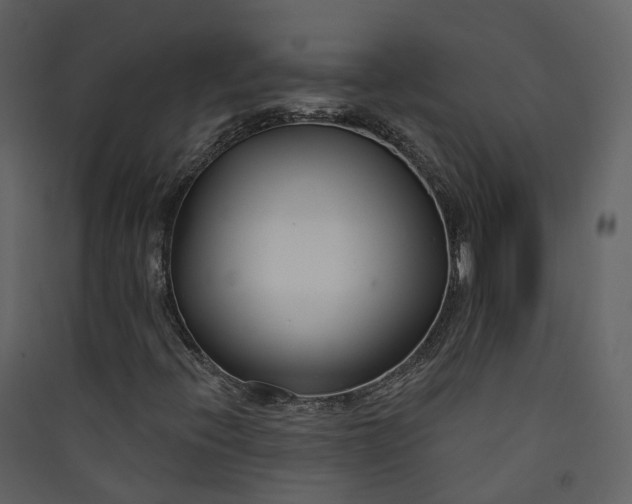 X0000089941396200707131443