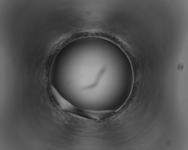 X0000089941398200707131443