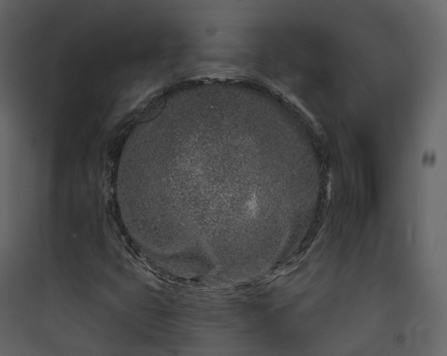 X0000089941399200707131443