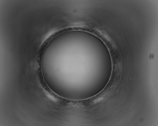 X0000089941400200707131443