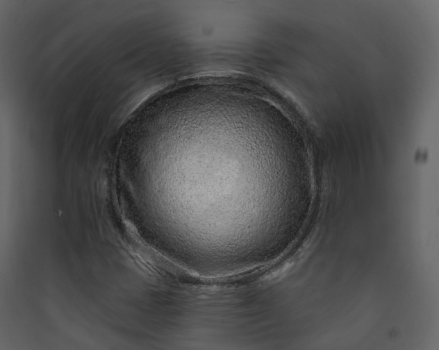 X0000089941401200707131443