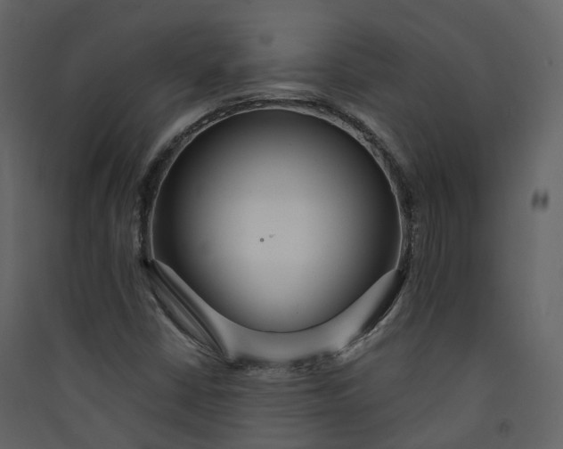 X0000089941402200707131443