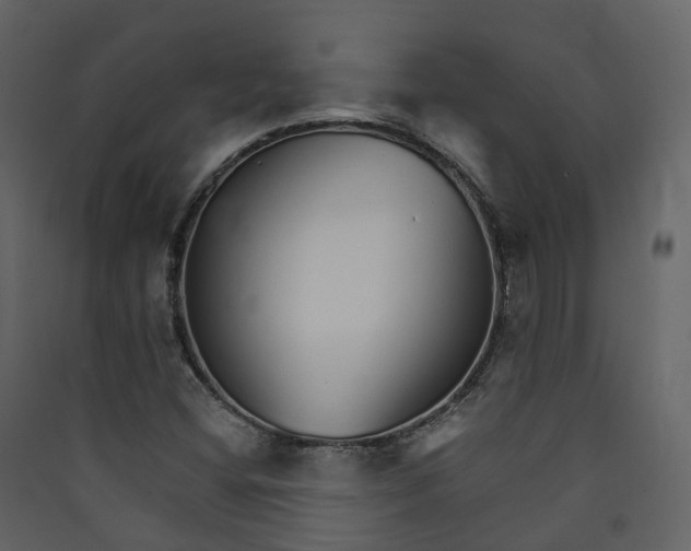 X0000089941404200707131443