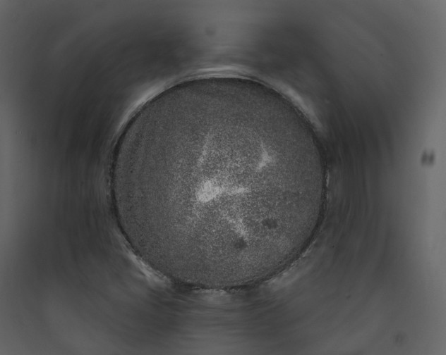 X0000089941405200707131443