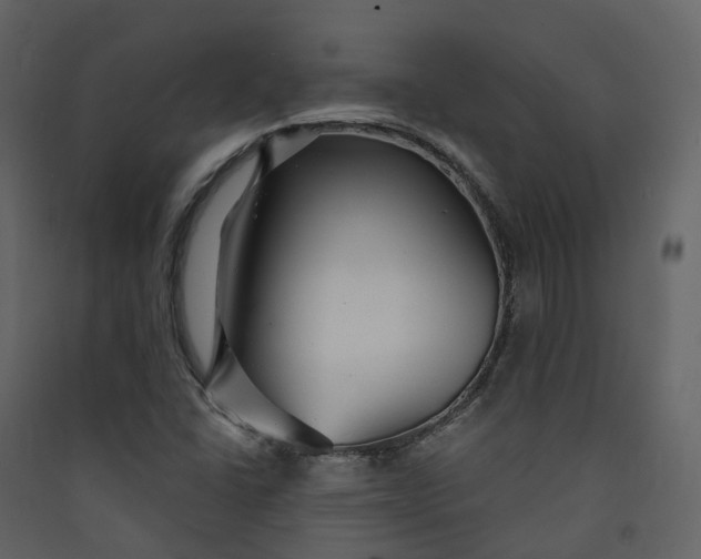 X0000089941406200707131443