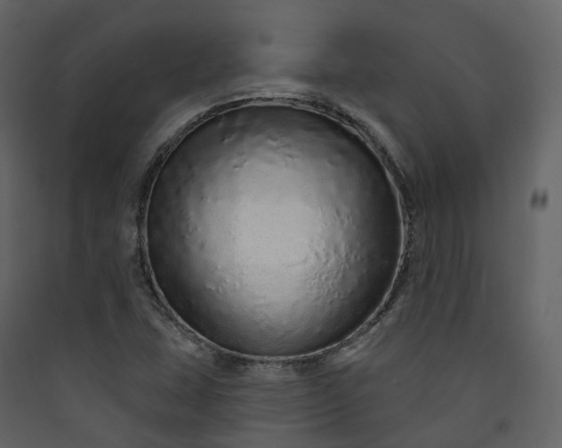 X0000089941407200707131443