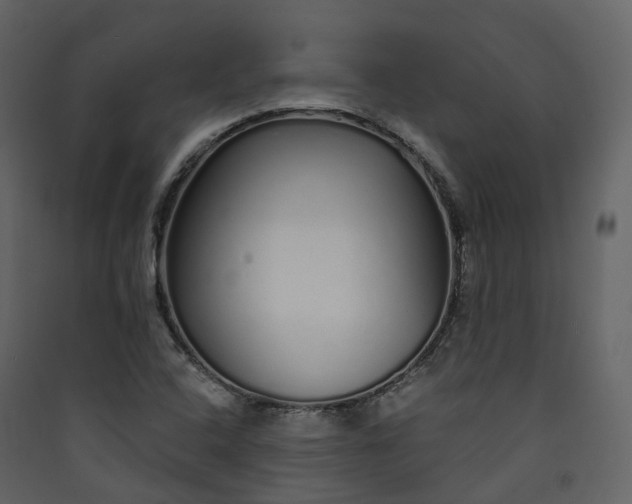 X0000089941408200707131443