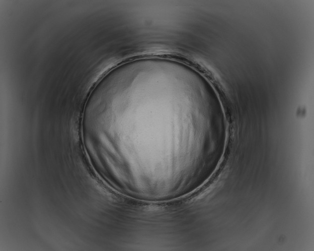 X0000089941409200707131444