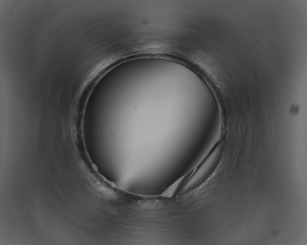 X0000089941410200707131444