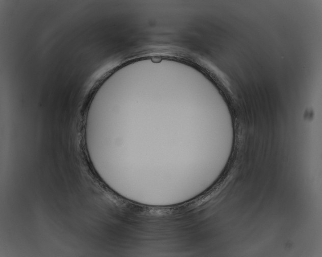 X0000089941411200707131444