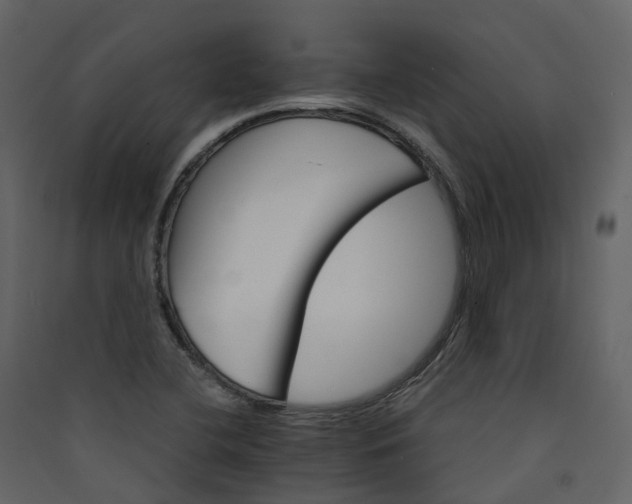 X0000089941412200707131444