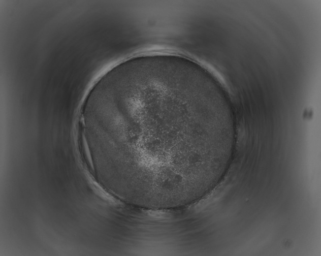 X0000089941413200707131444