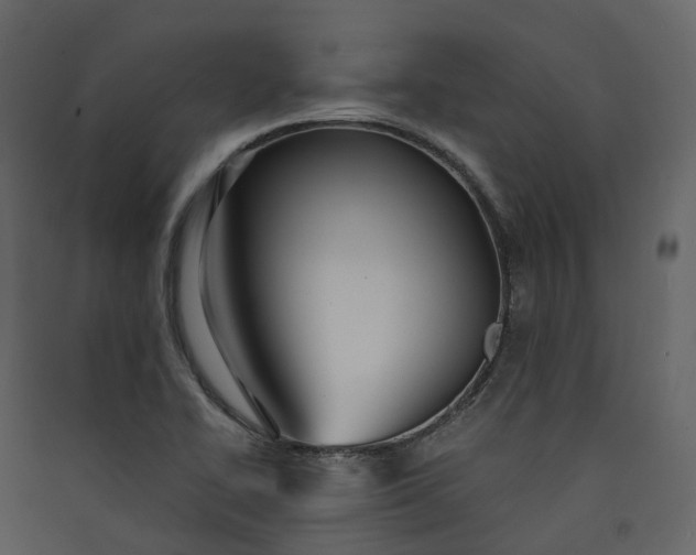 X0000089941414200707131444