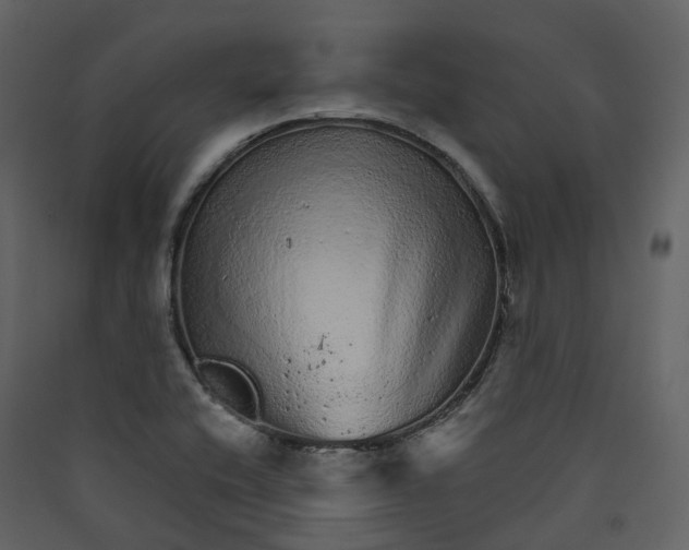 X0000089941416200707131444