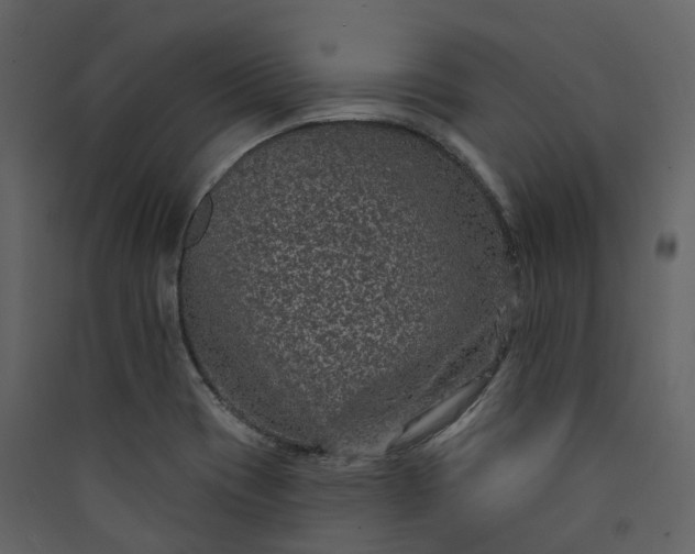 X0000089941417200707131444