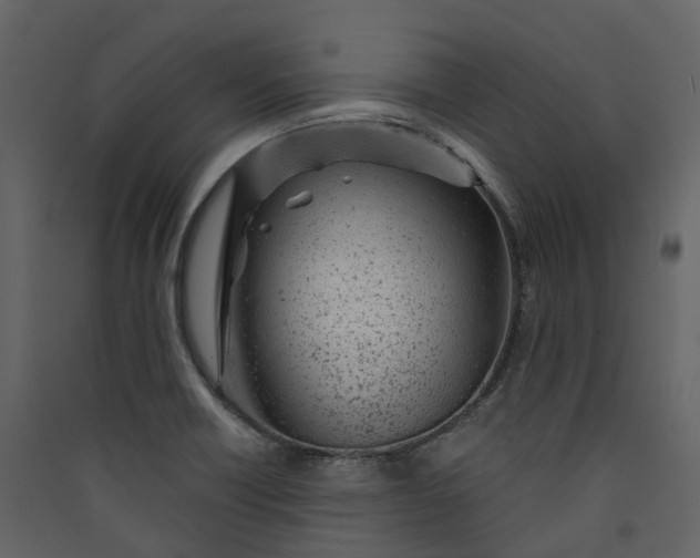 X0000089941418200707131444