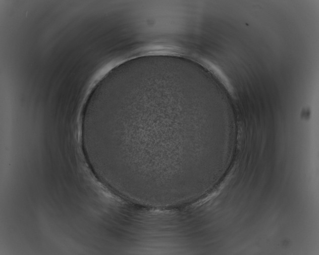 X0000089941419200707131444