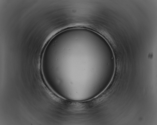 X0000089941420200707131444