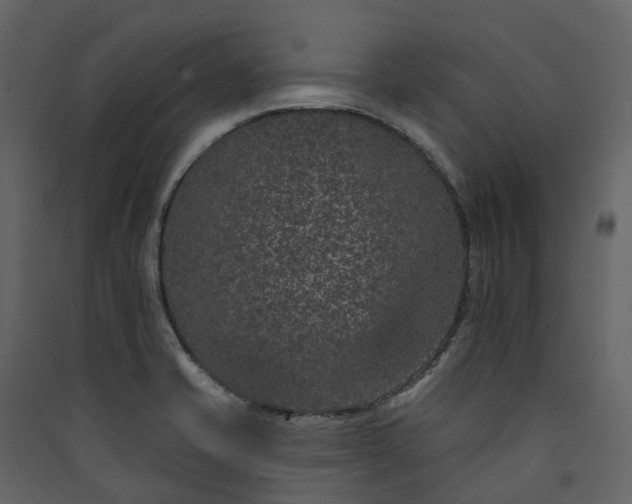 X0000089941421200707131444