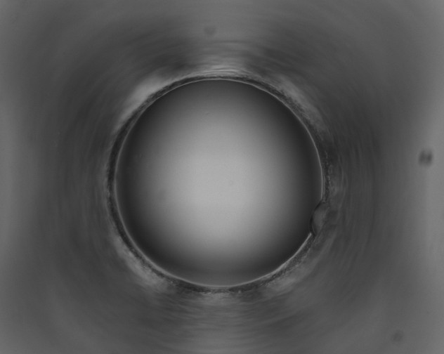 X0000089941422200707131444