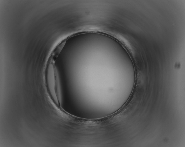 X0000089941424200707131444