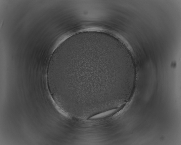 X0000089941425200707131444