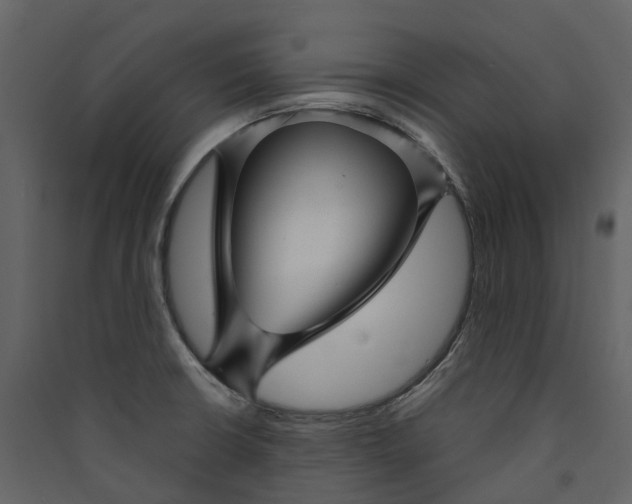 X0000089941426200707131444