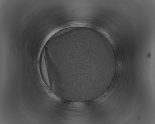 X0000089941427200707131444