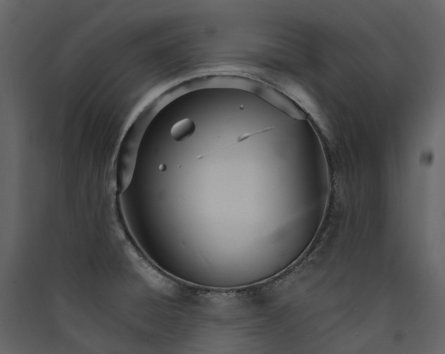 X0000089941428200707131444