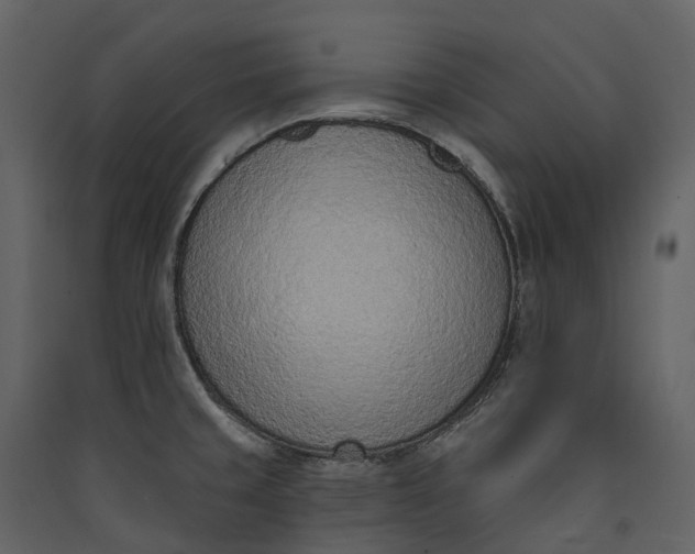 X0000089941429200707131444