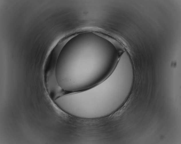 X0000089941430200707131444