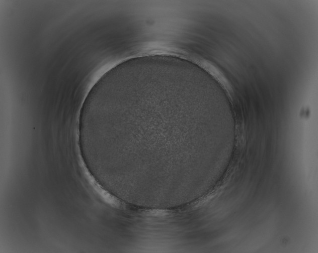 X0000089941431200707131444