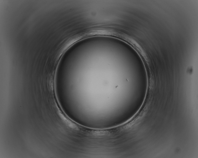 X0000089941433200707131444