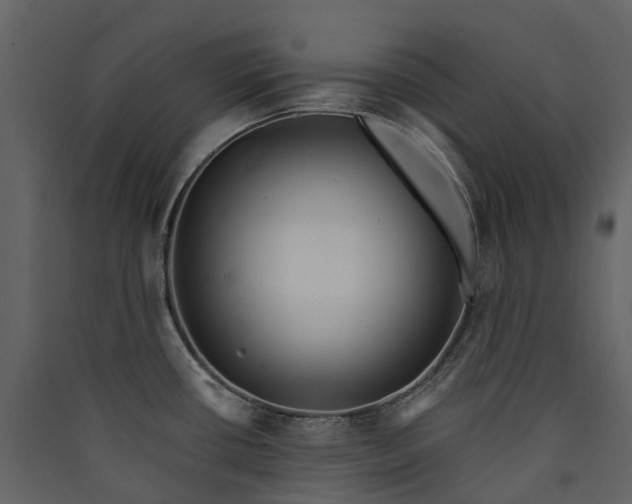 X0000089941434200707131444