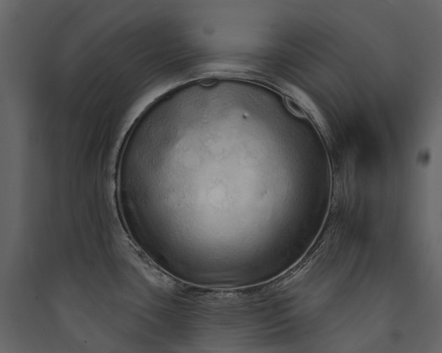 X0000089941435200707131444