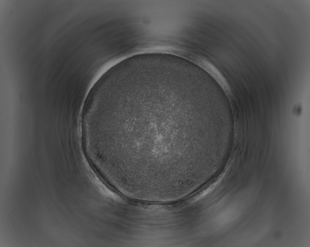 X0000089941436200707131444