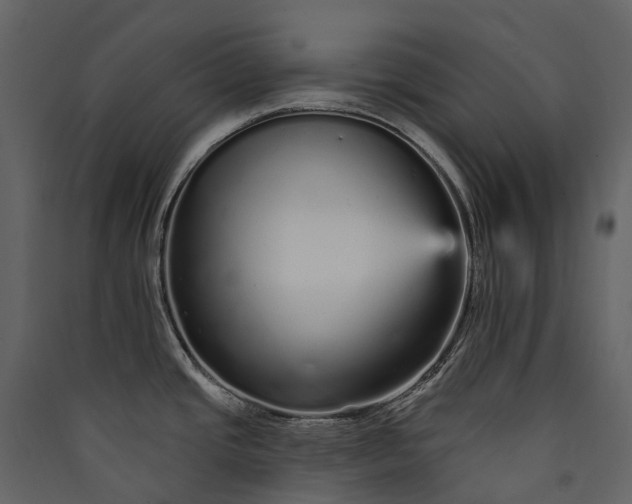 X0000089941437200707131444